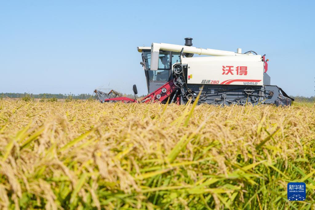 新濠天地网站赌场